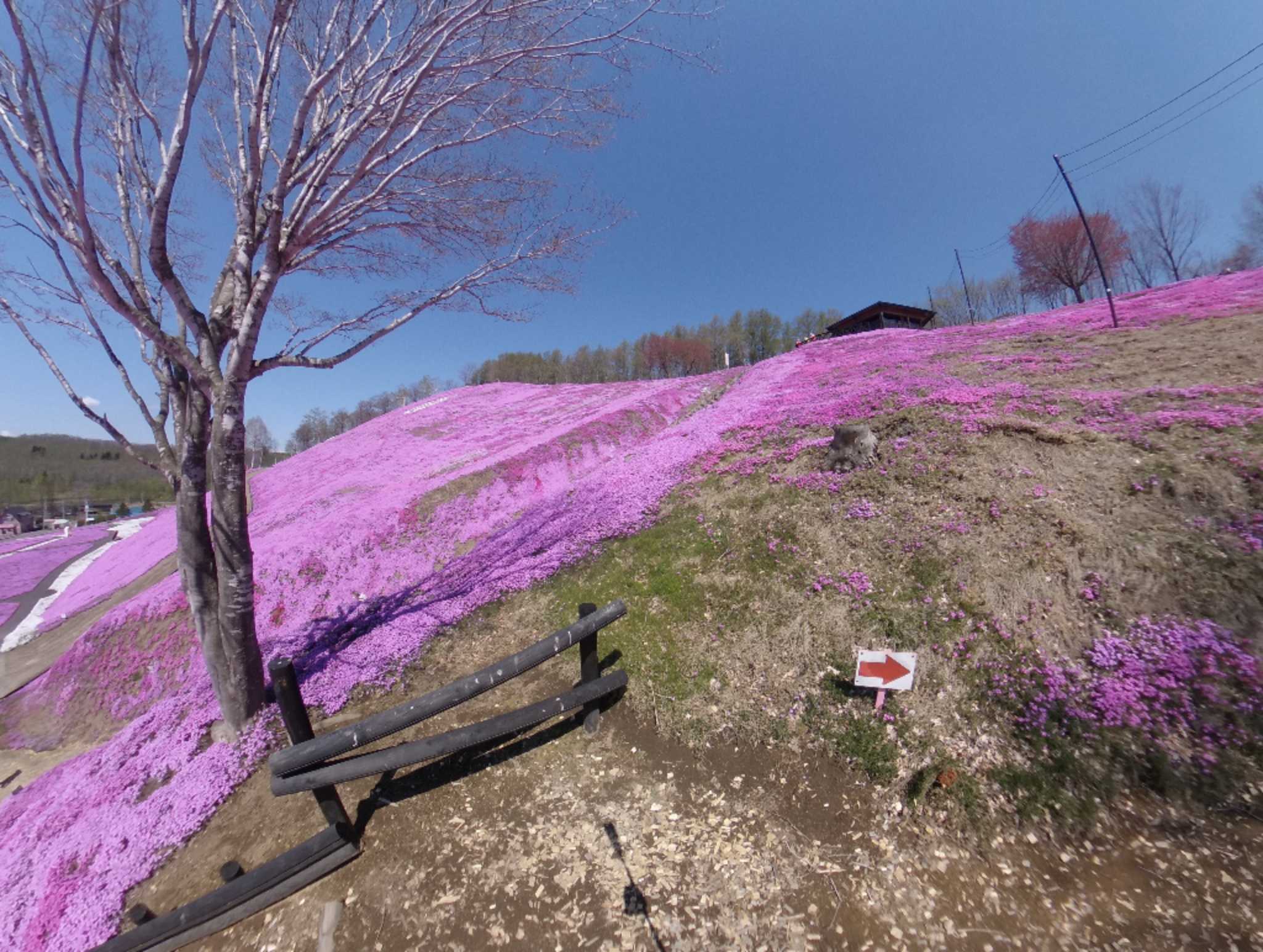 東屋の下