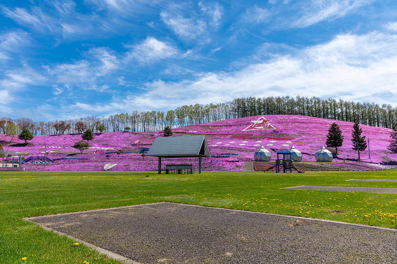 キャンプ場 - ひがしもこと芝桜公園
