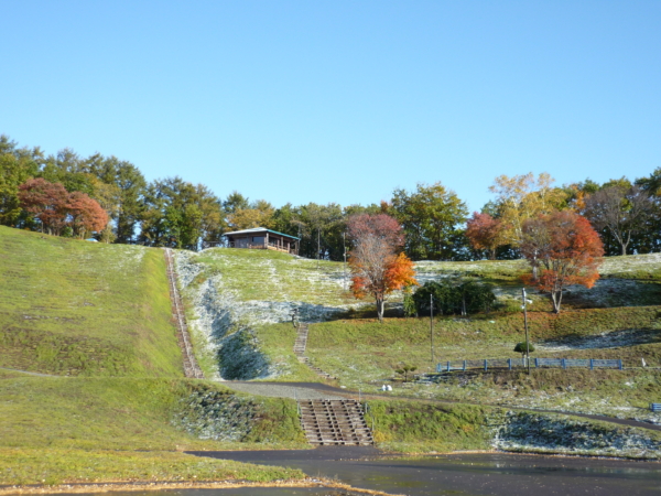 いまの芝桜公園の様子