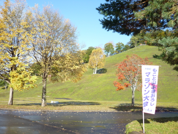 いまの芝桜公園の様子