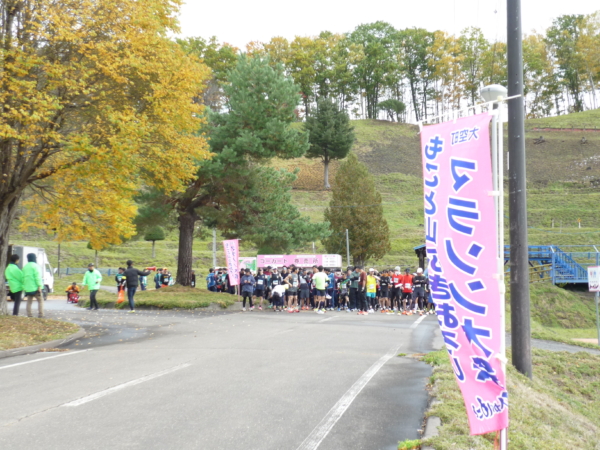 いまの芝桜公園の様子