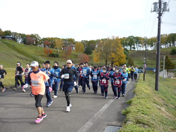 いまの芝桜公園の様子