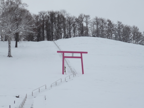 いまの芝桜公園の様子