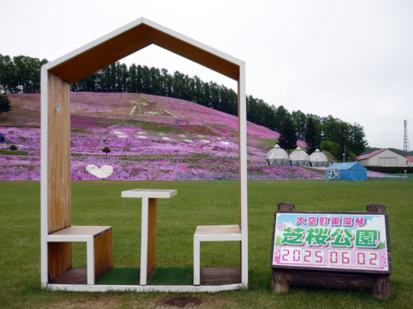 いまの芝桜公園の様子