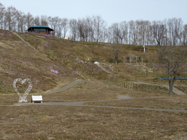いまの芝桜公園の様子