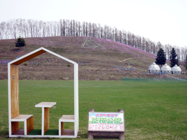 いまの芝桜公園の様子