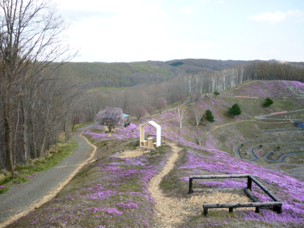 いまの芝桜公園の様子