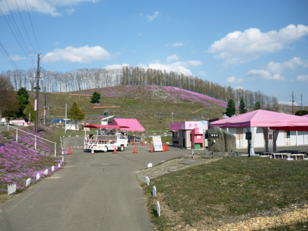 いまの芝桜公園の様子