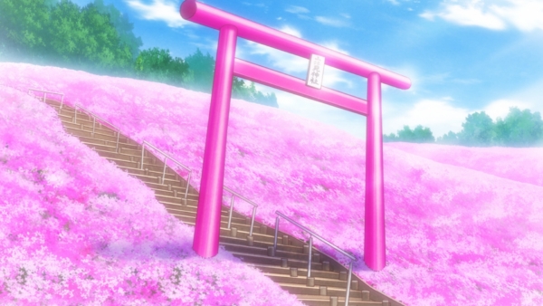 いまの芝桜公園の様子