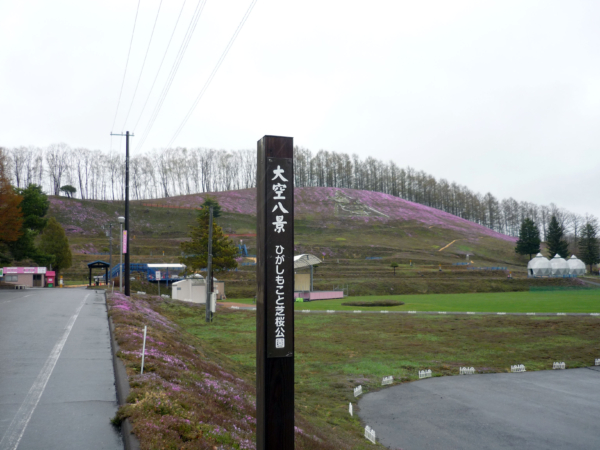 いまの芝桜公園の様子