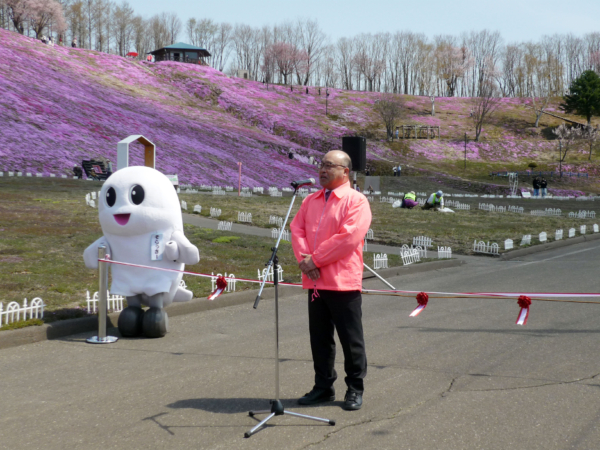 いまの芝桜公園の様子