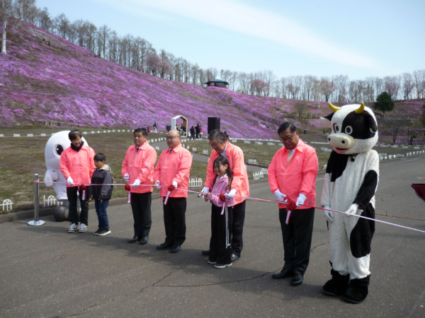いまの芝桜公園の様子