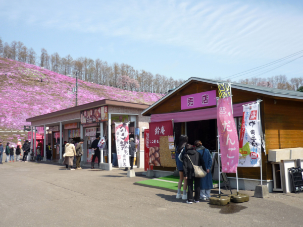 いまの芝桜公園の様子