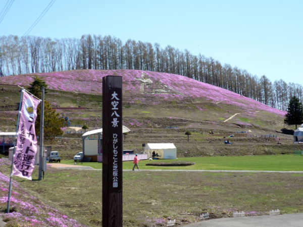 いまの芝桜公園の様子