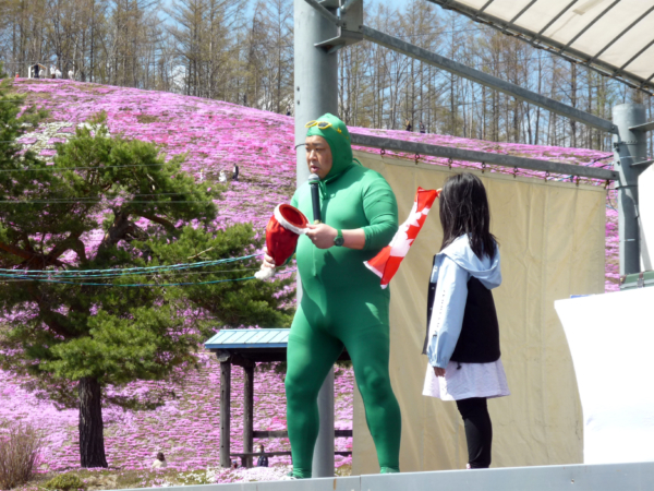 いまの芝桜公園の様子