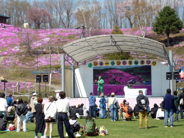 いまの芝桜公園の様子