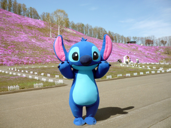 いまの芝桜公園の様子