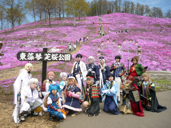 いまの芝桜公園の様子