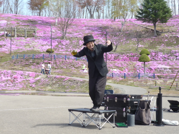 いまの芝桜公園の様子