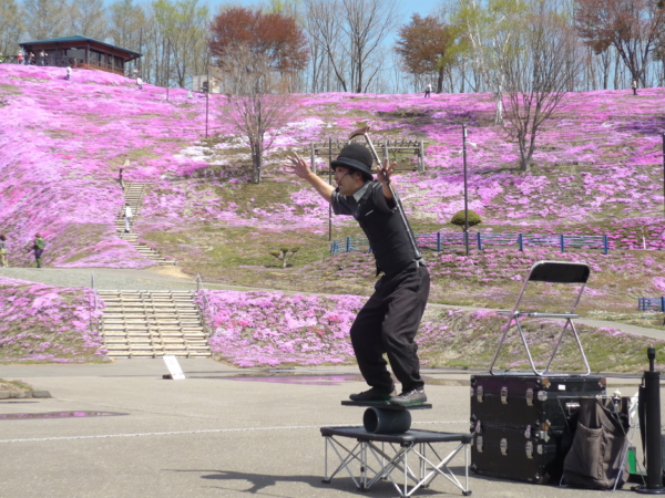 いまの芝桜公園の様子