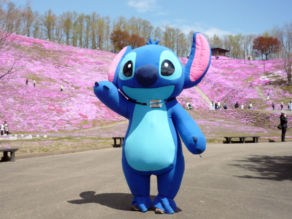 いまの芝桜公園の様子