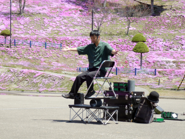 いまの芝桜公園の様子