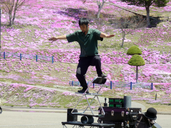 いまの芝桜公園の様子