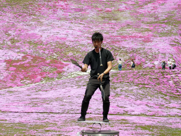 いまの芝桜公園の様子
