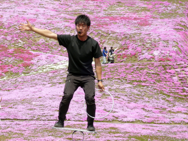 いまの芝桜公園の様子