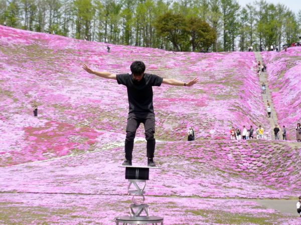 いまの芝桜公園の様子