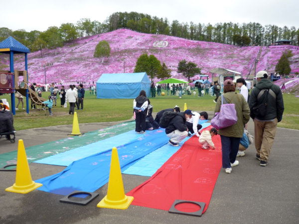 いまの芝桜公園の様子