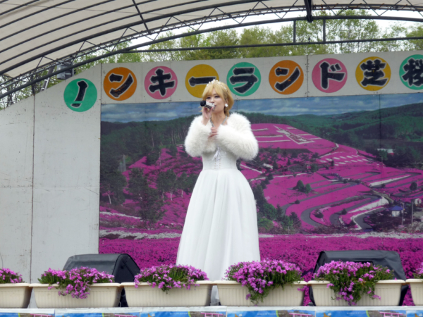 いまの芝桜公園の様子