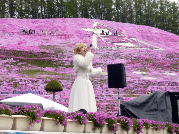 いまの芝桜公園の様子