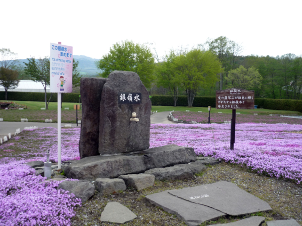 いまの芝桜公園の様子