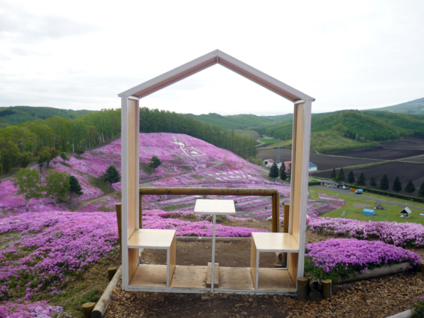 いまの芝桜公園の様子
