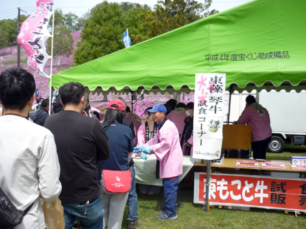 いまの芝桜公園の様子