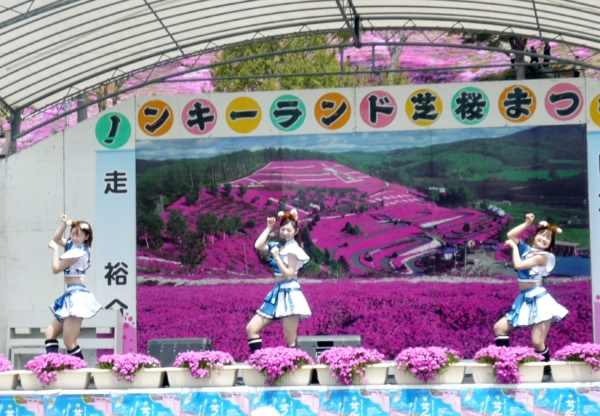 いまの芝桜公園の様子