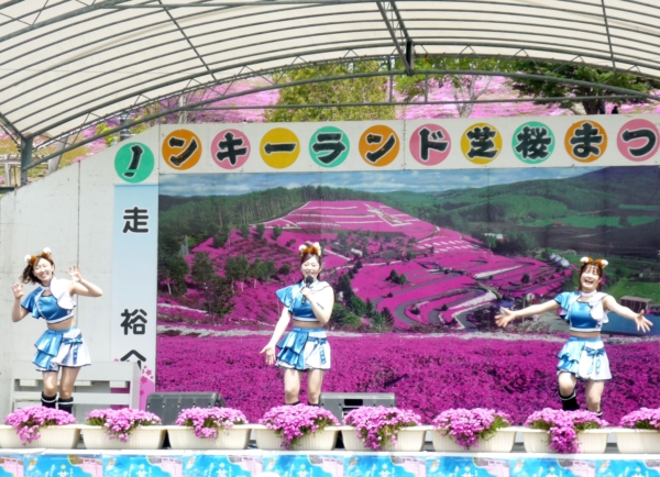 いまの芝桜公園の様子