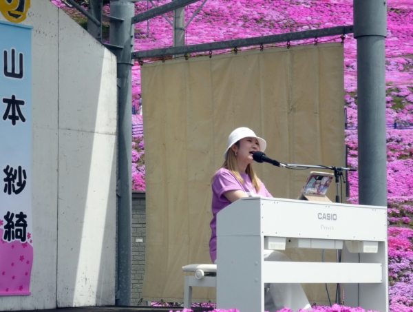 いまの芝桜公園の様子
