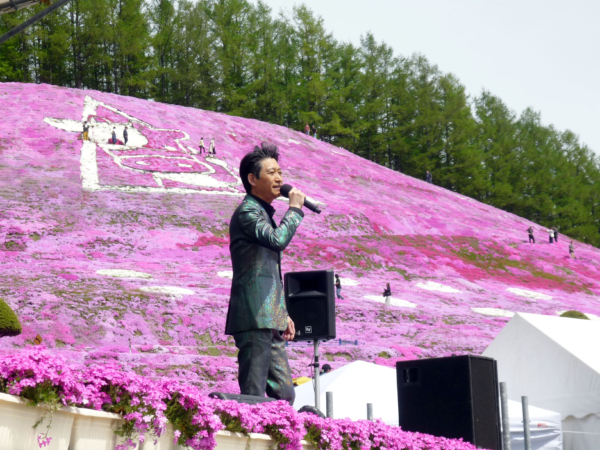 いまの芝桜公園の様子