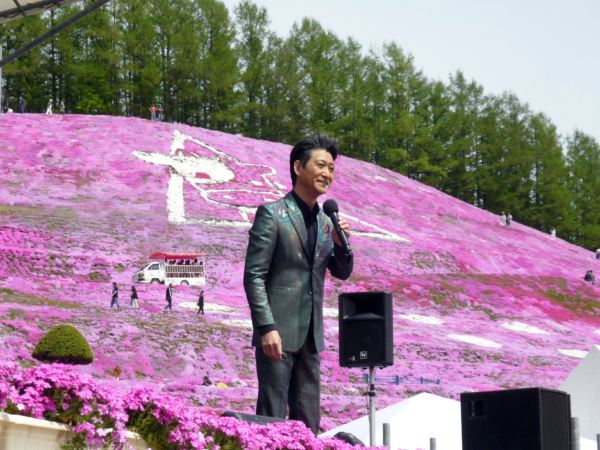 いまの芝桜公園の様子